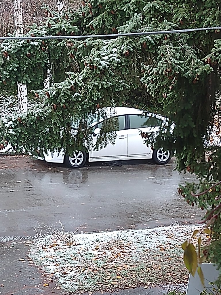 A zoomed in picture of my car from the Ice storm in Seattle, December 23rd, 2022. The car is a white prius. There is so much ice that there is a reflection of my car on the surface.